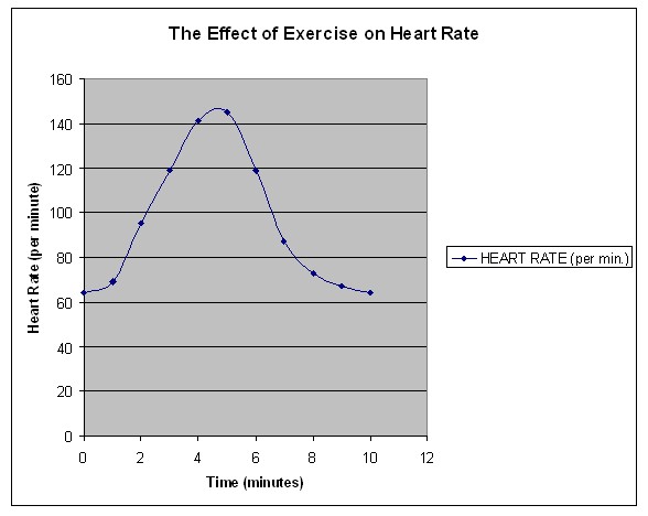 How does exercise affect breathing rate?