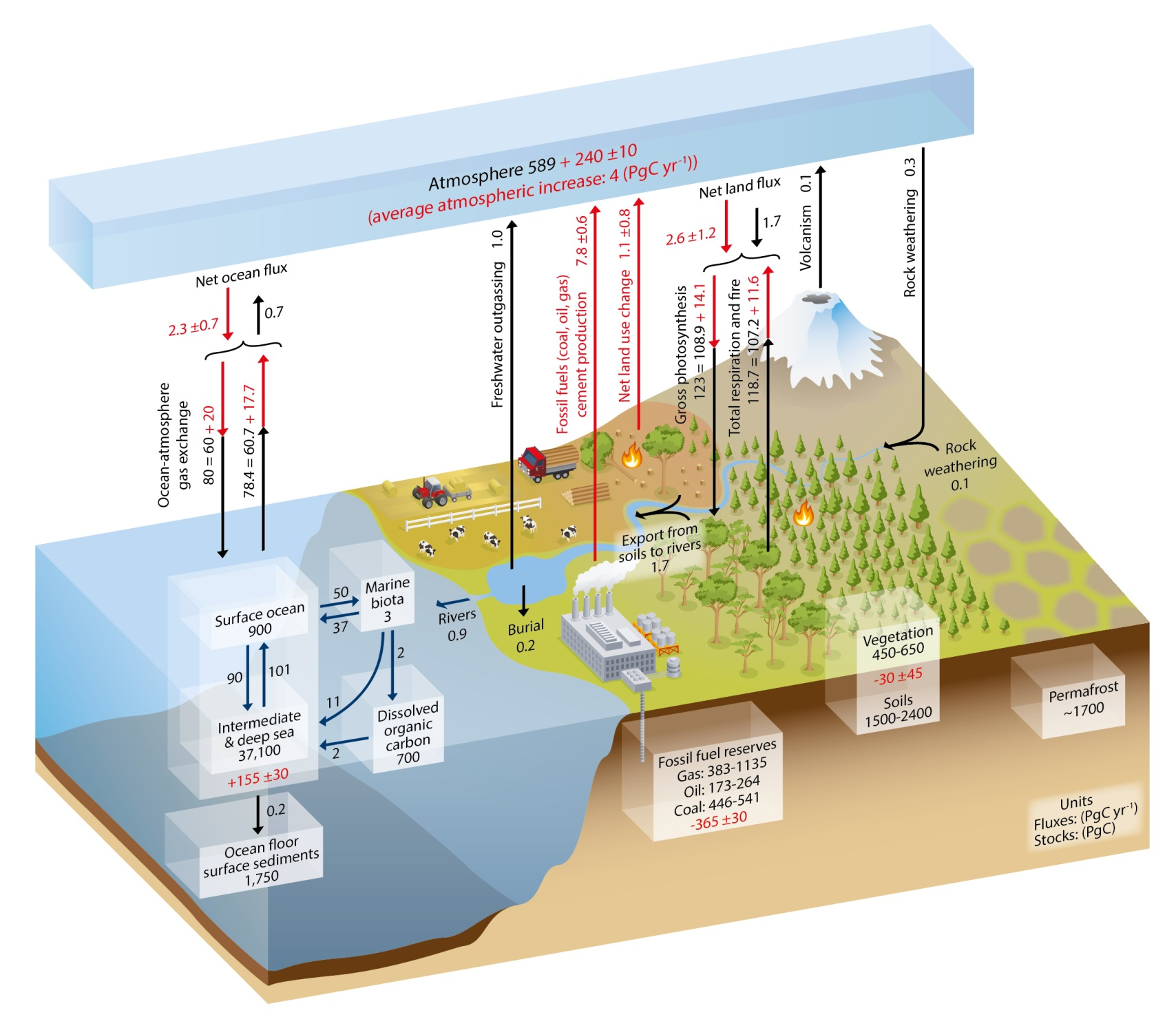 Global Carbon Cycle