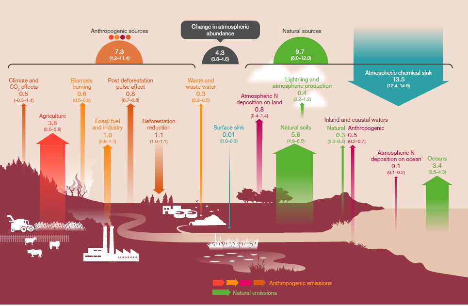 Global Nitrous Oxide budget for 2006-2017